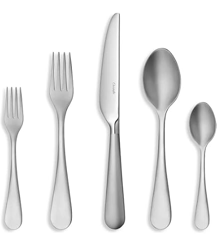 Amazon.com | Christofle Albi Acier Stainless Steel 20-Piece